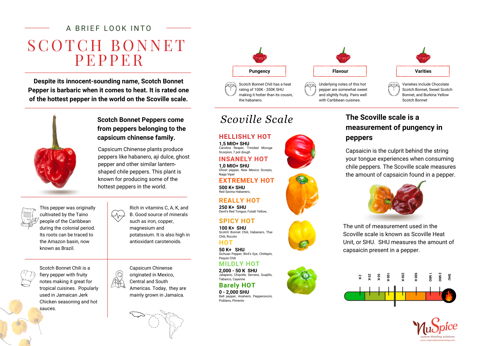 A Brief Look Inside Scotch Pepper Nu Products Seasoning Company