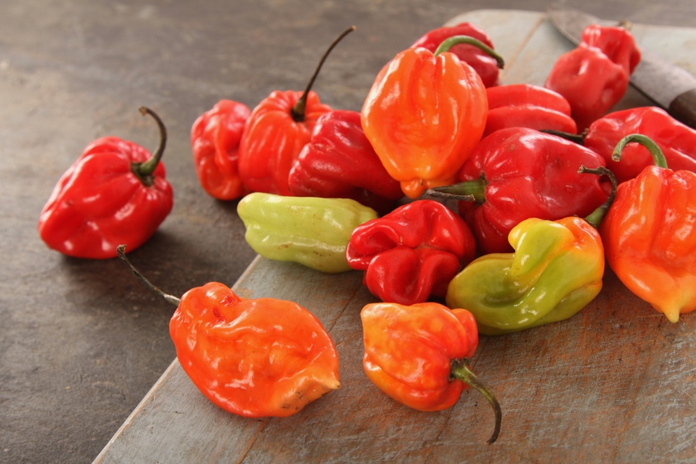 Varieties of Scotch Bonnet Peppers